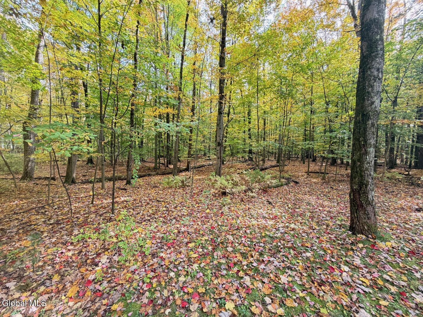 606 Mac Elroy Road Ballston Lake NY 12019