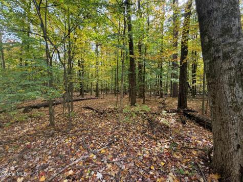 606 Mac Elroy Road Ballston Lake NY 12019