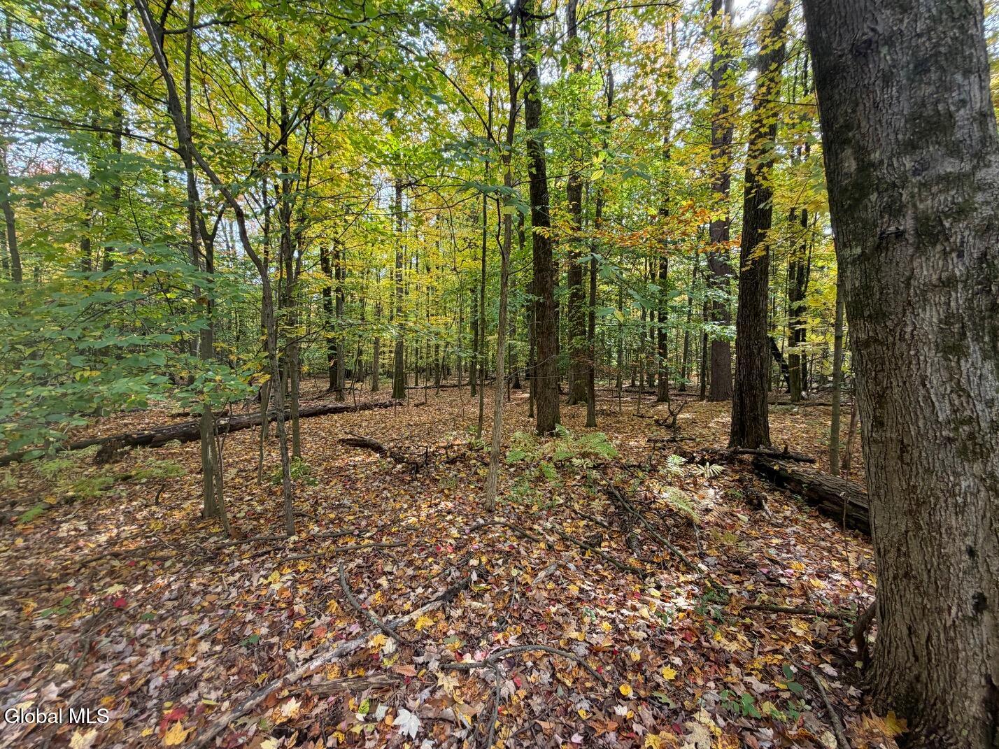 606 Mac Elroy Road Ballston Lake NY 12019