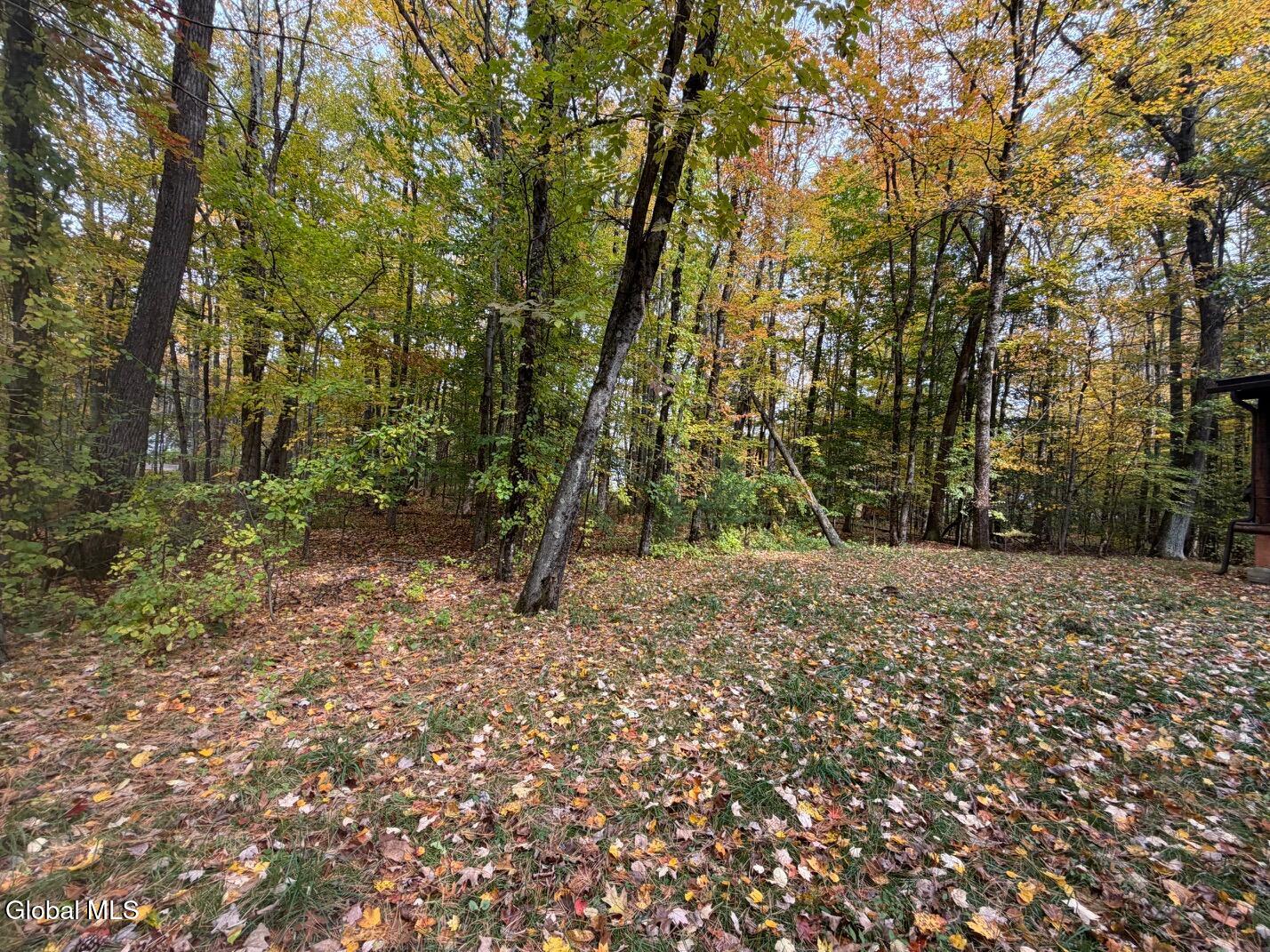 606 Mac Elroy Road Ballston Lake NY 12019