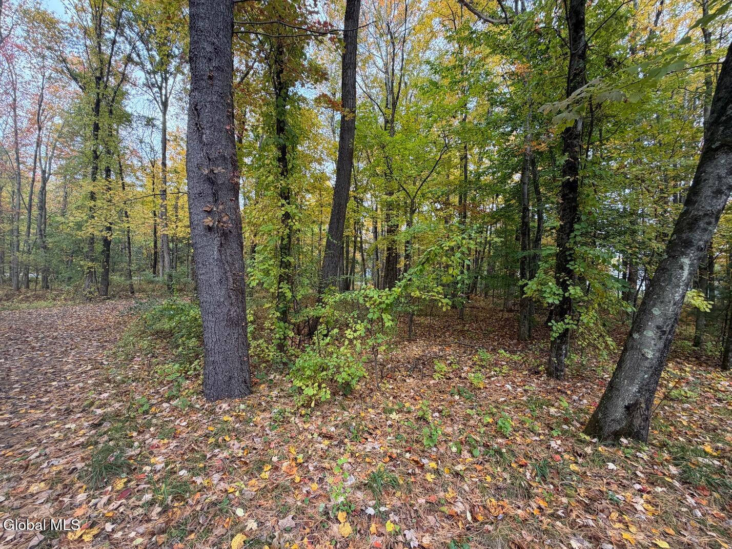 606 Mac Elroy Road Ballston Lake NY 12019