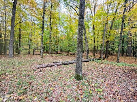 606 Mac Elroy Road Ballston Lake NY 12019