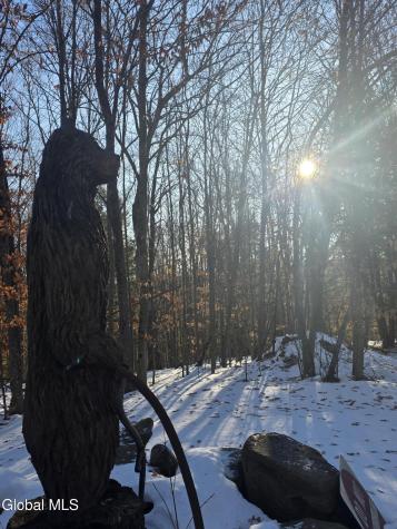 7 Scott Lane Northville NY 12134