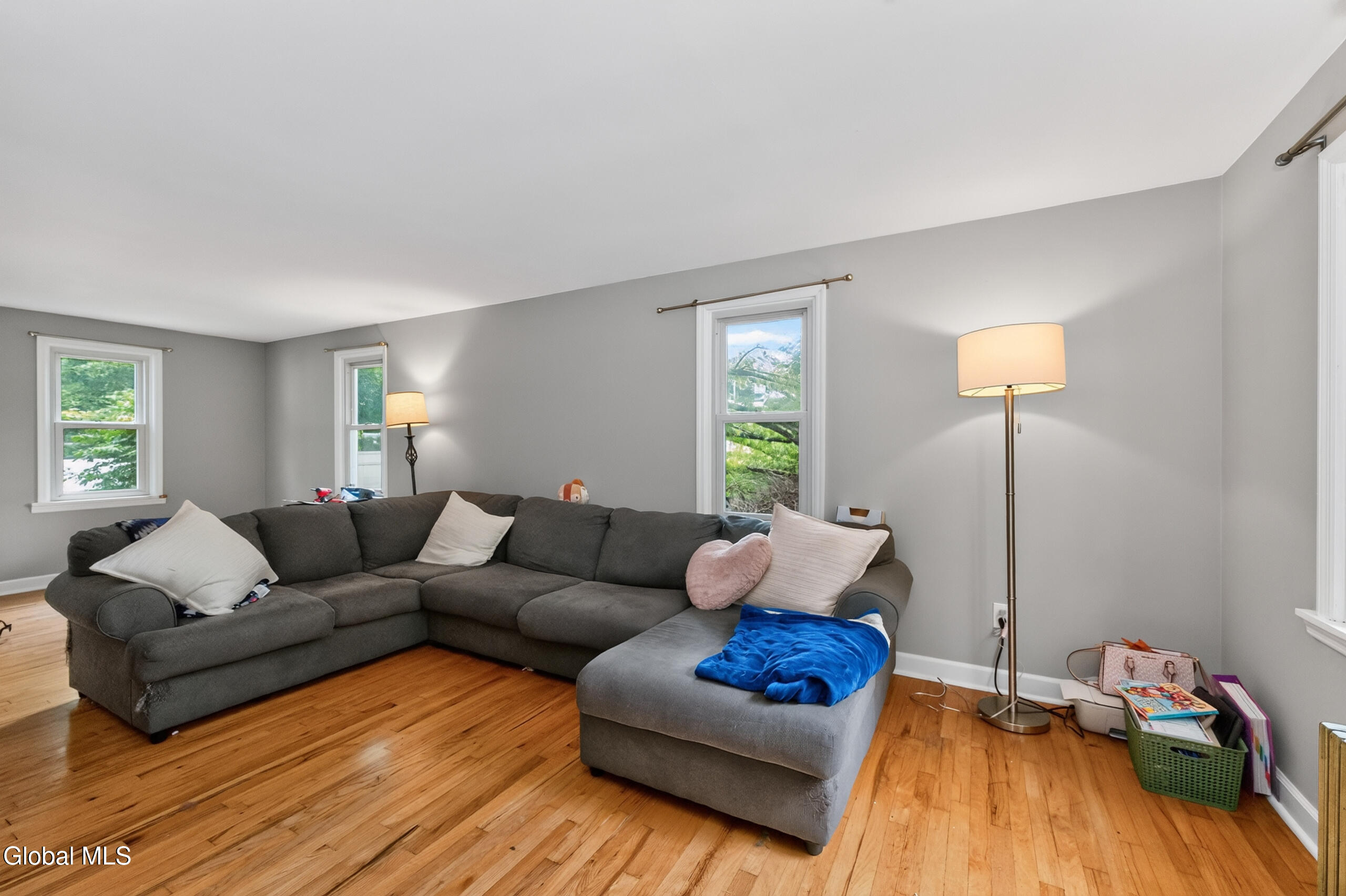 3 Hillview Terrace Guilderland NY 12084