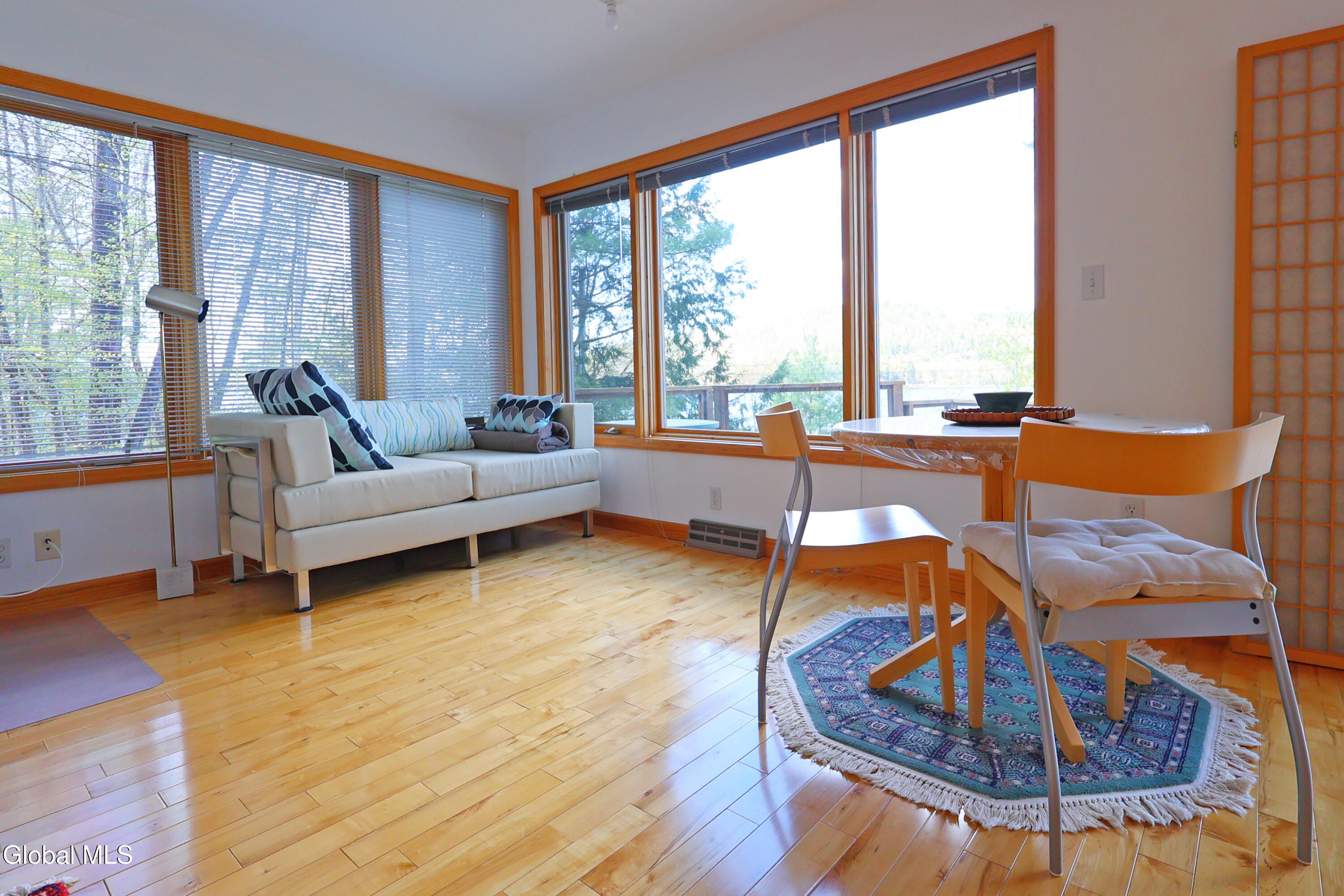 516 E Shore Drive Adirondack NY 12808