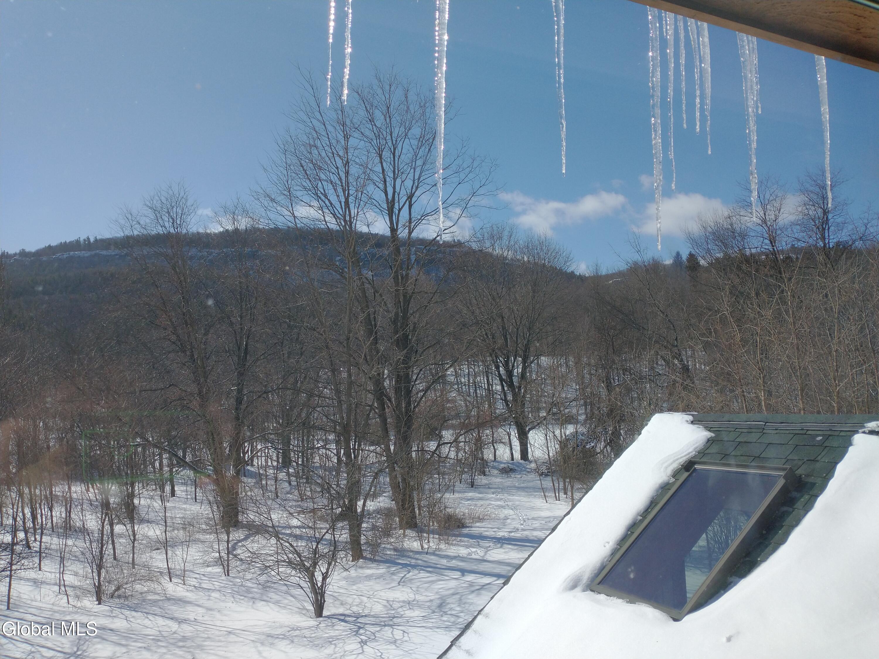 586 Altamont Road New Scotland NY 12009