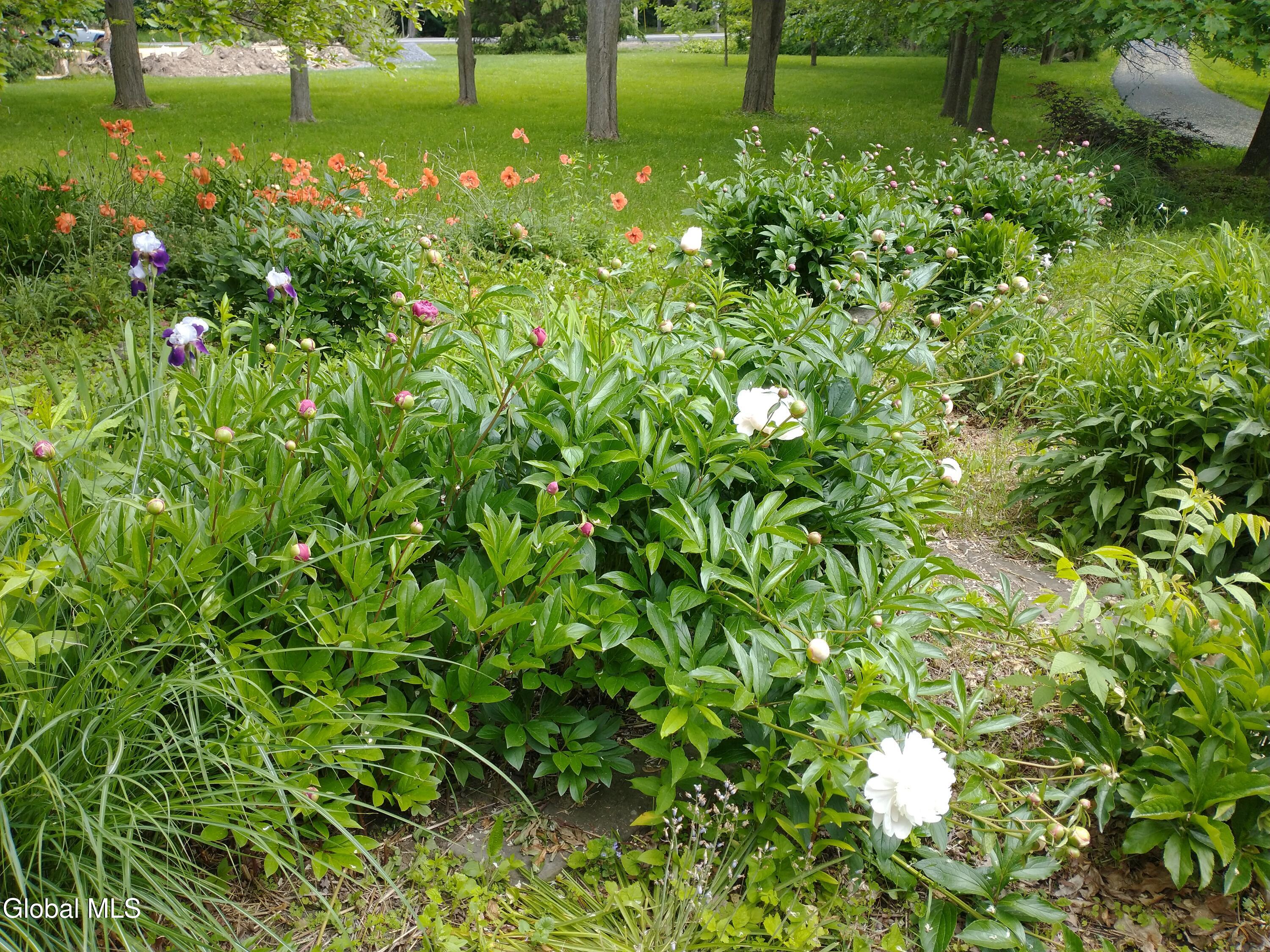 586 Altamont Road New Scotland NY 12009