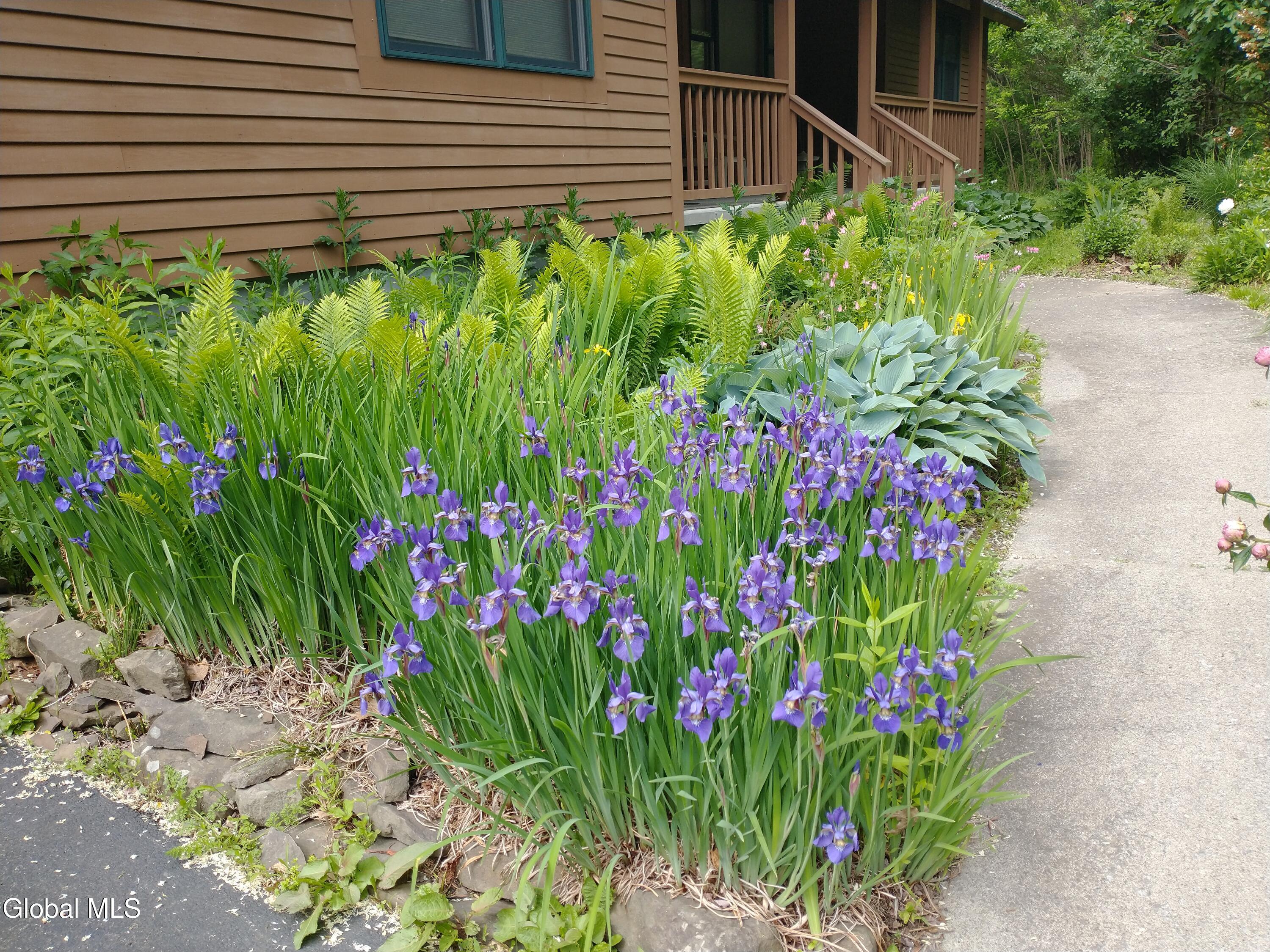 586 Altamont Road New Scotland NY 12009