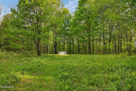 164 Zellner Road Summit NY 12175