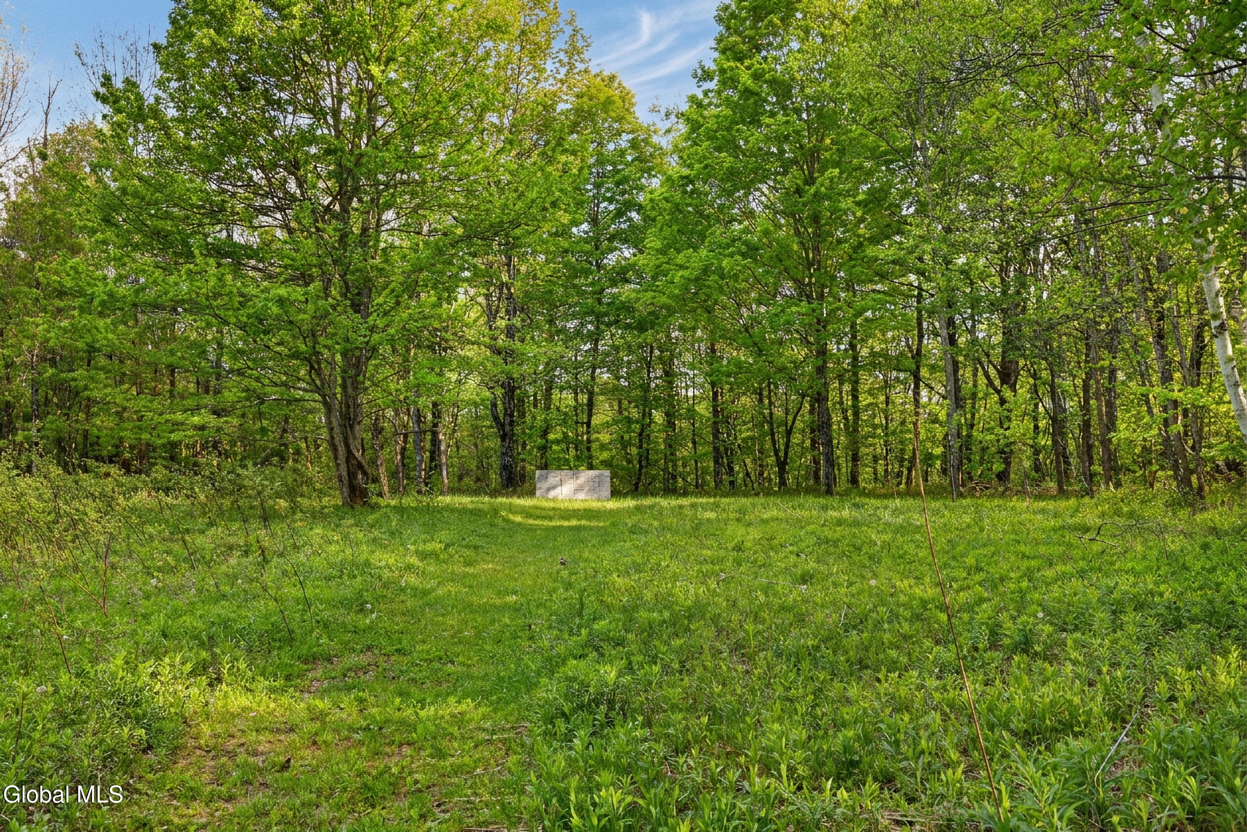 164 Zellner Road Summit NY 12175