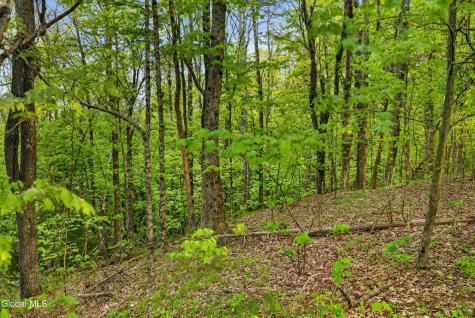 164 Zellner Road Summit NY 12175