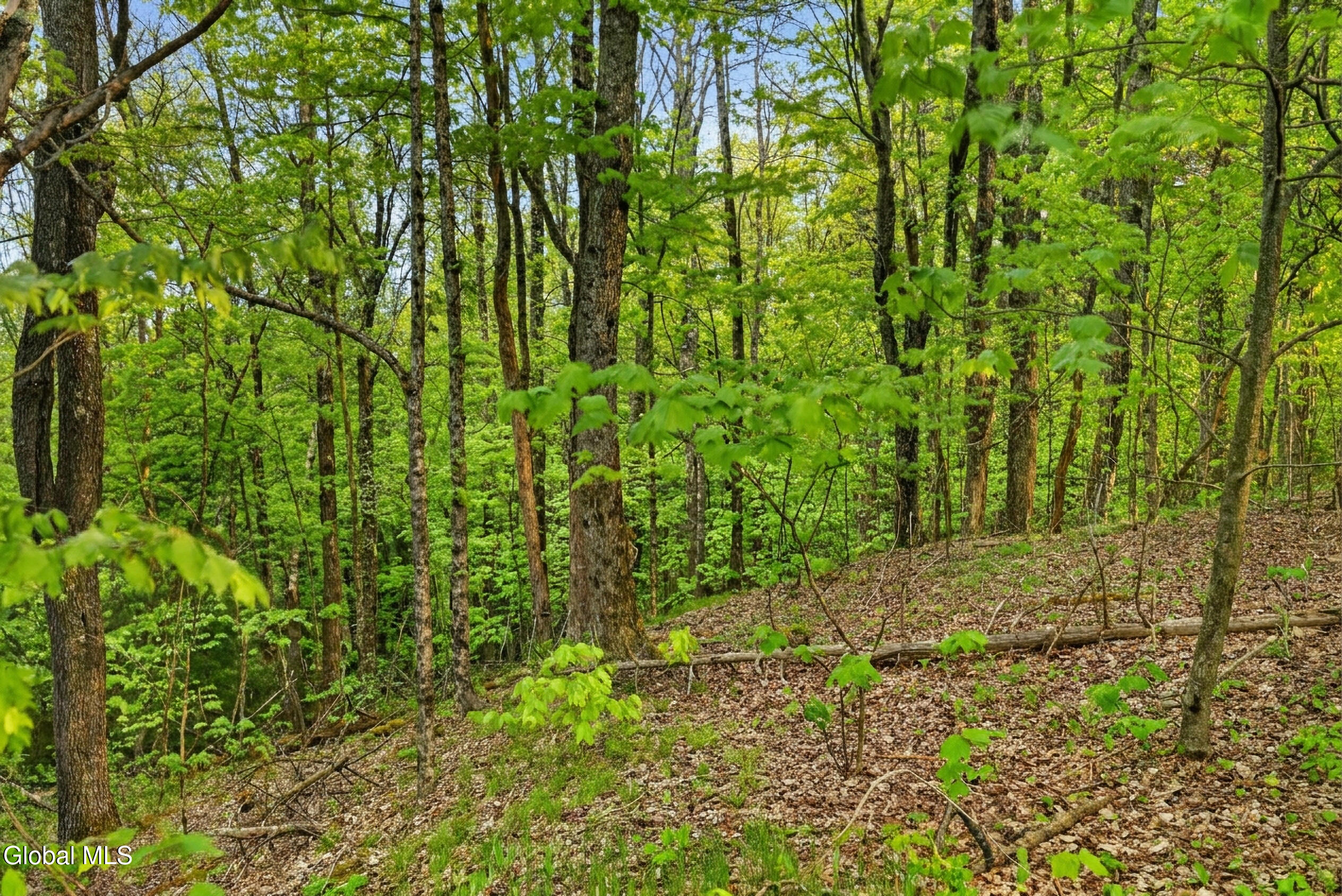 164 Zellner Road Summit NY 12175
