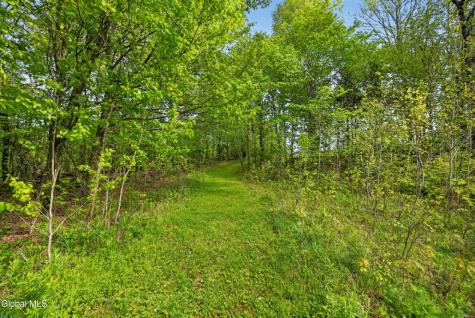 164 Zellner Road Summit NY 12175