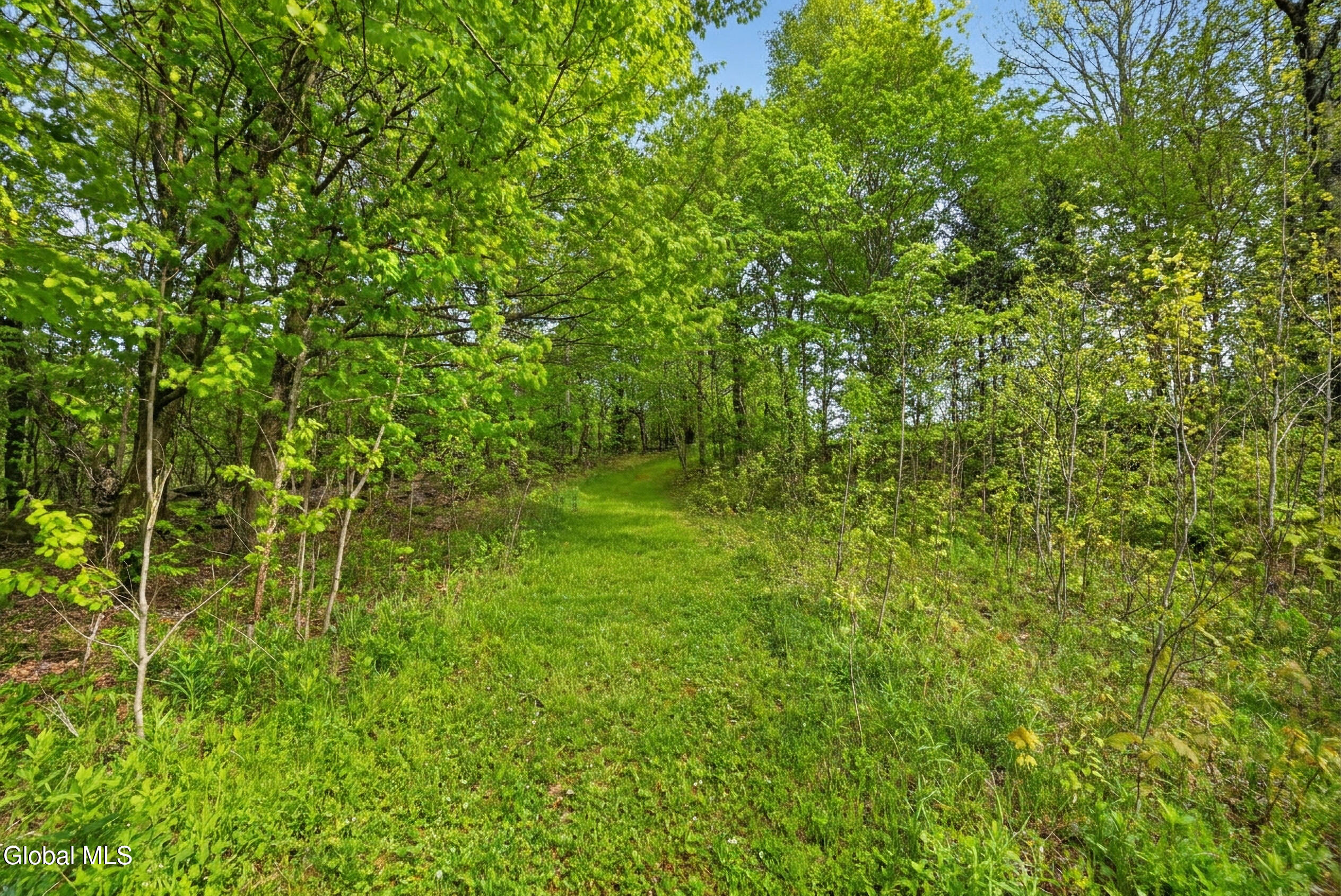 164 Zellner Road Summit NY 12175