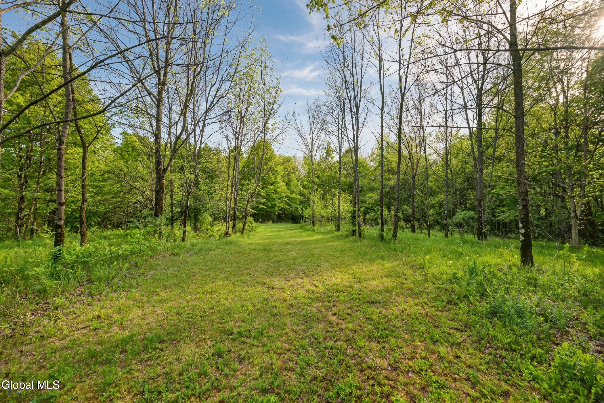 164 Zellner Road Summit NY 12175