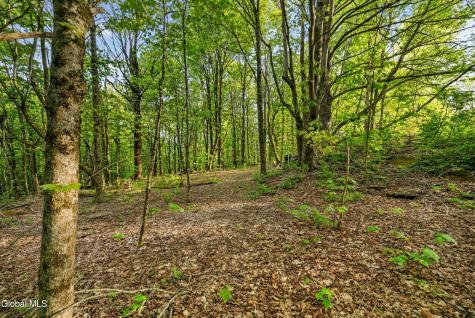 164 Zellner Road Summit NY 12175