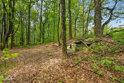 164 Zellner Road Summit NY 12175