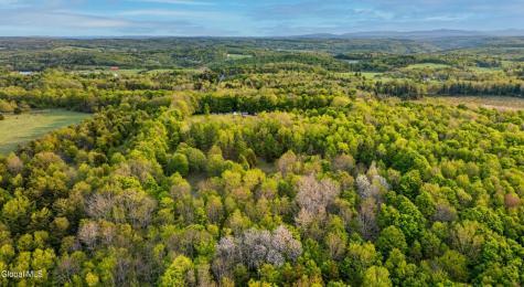 164 Zellner Road Summit NY 12175