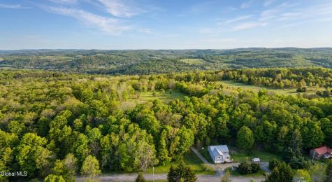 164 Zellner Road Summit NY 12175