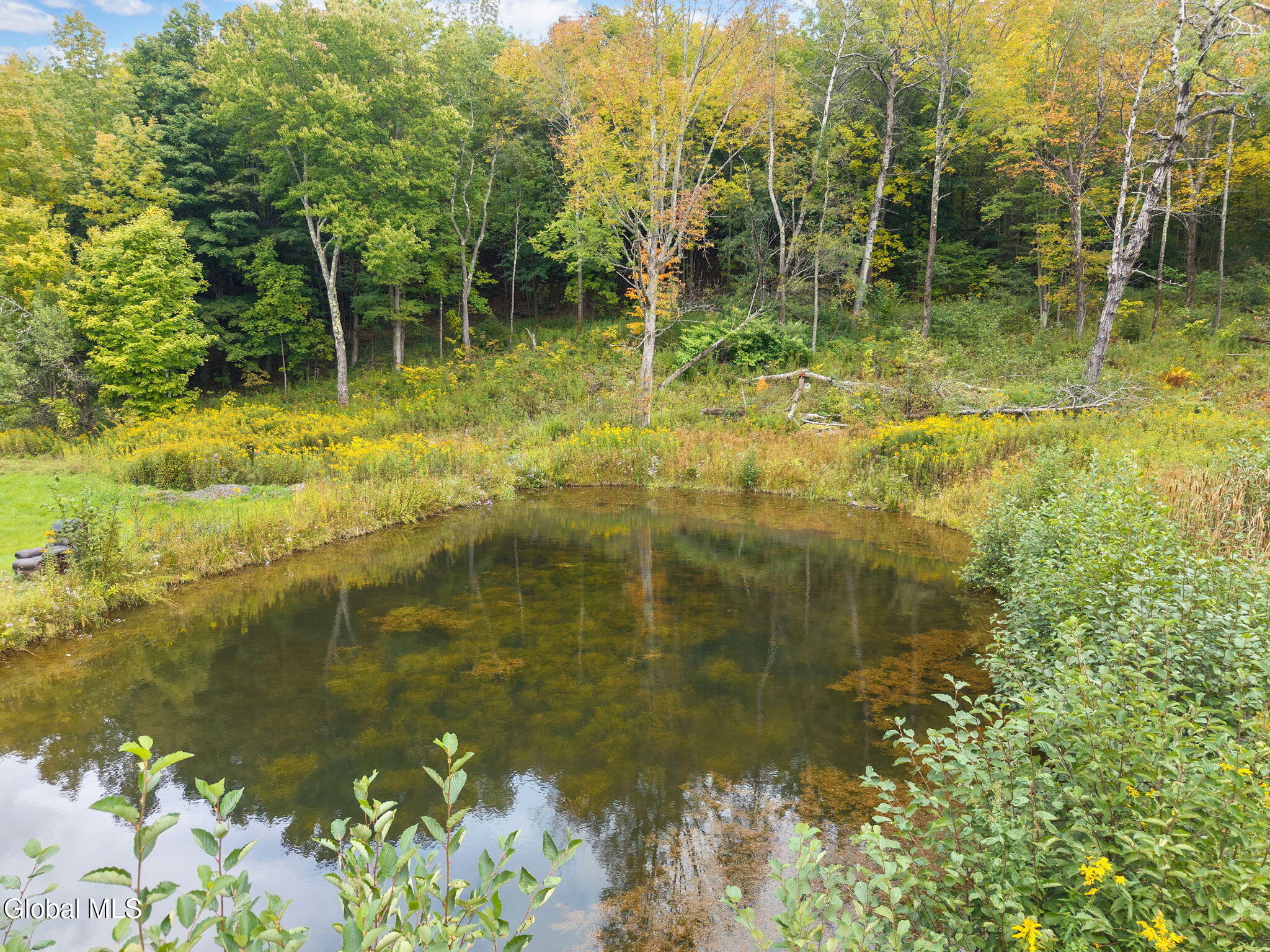 400 Stannard Road Jefferson NY 12093