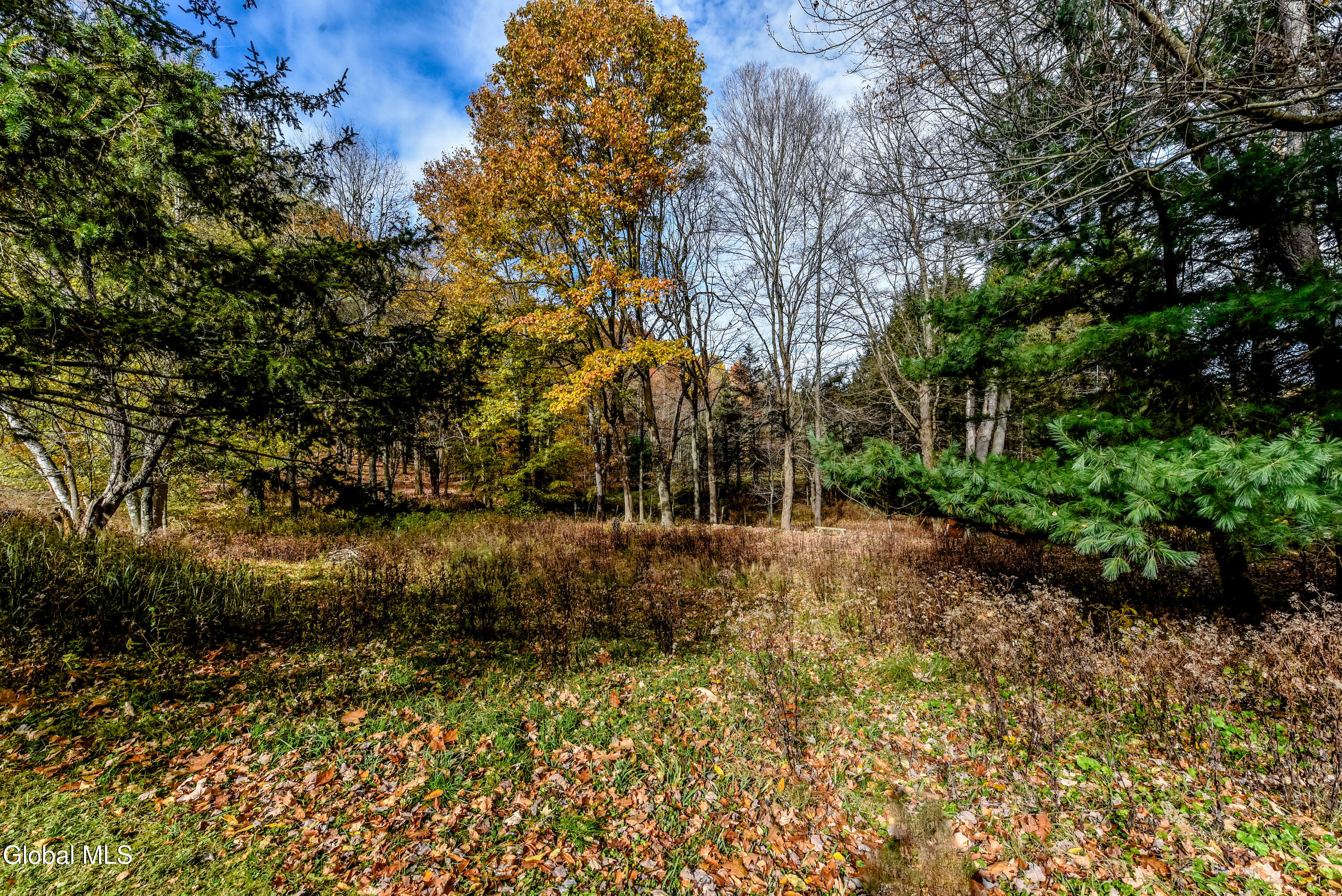 16 Delma Lane Averill Park NY 12018