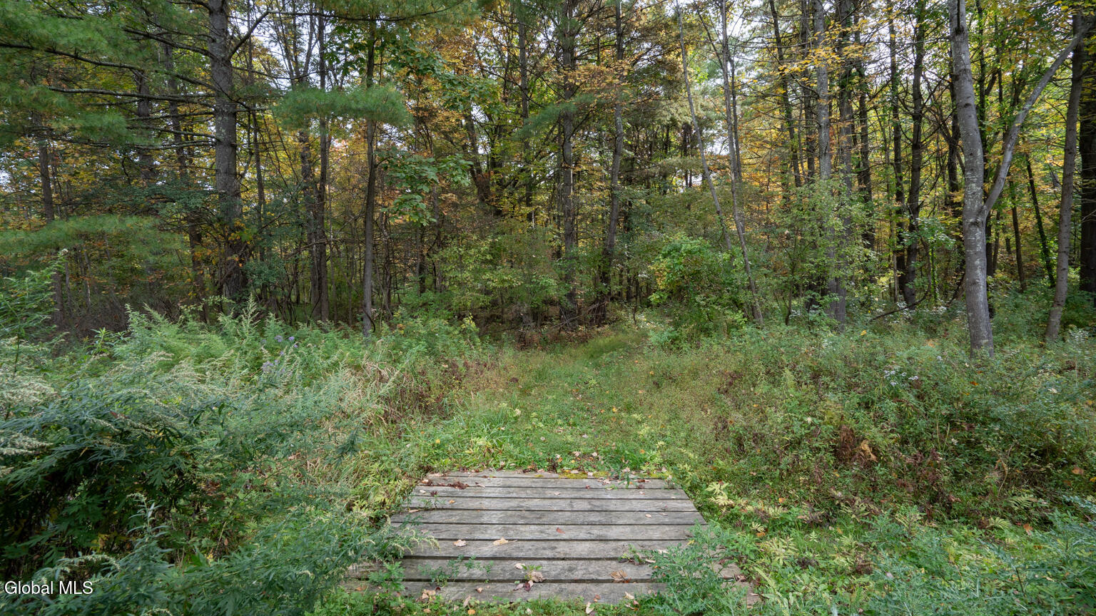 57 Wickes Lane Greenville NY 12083