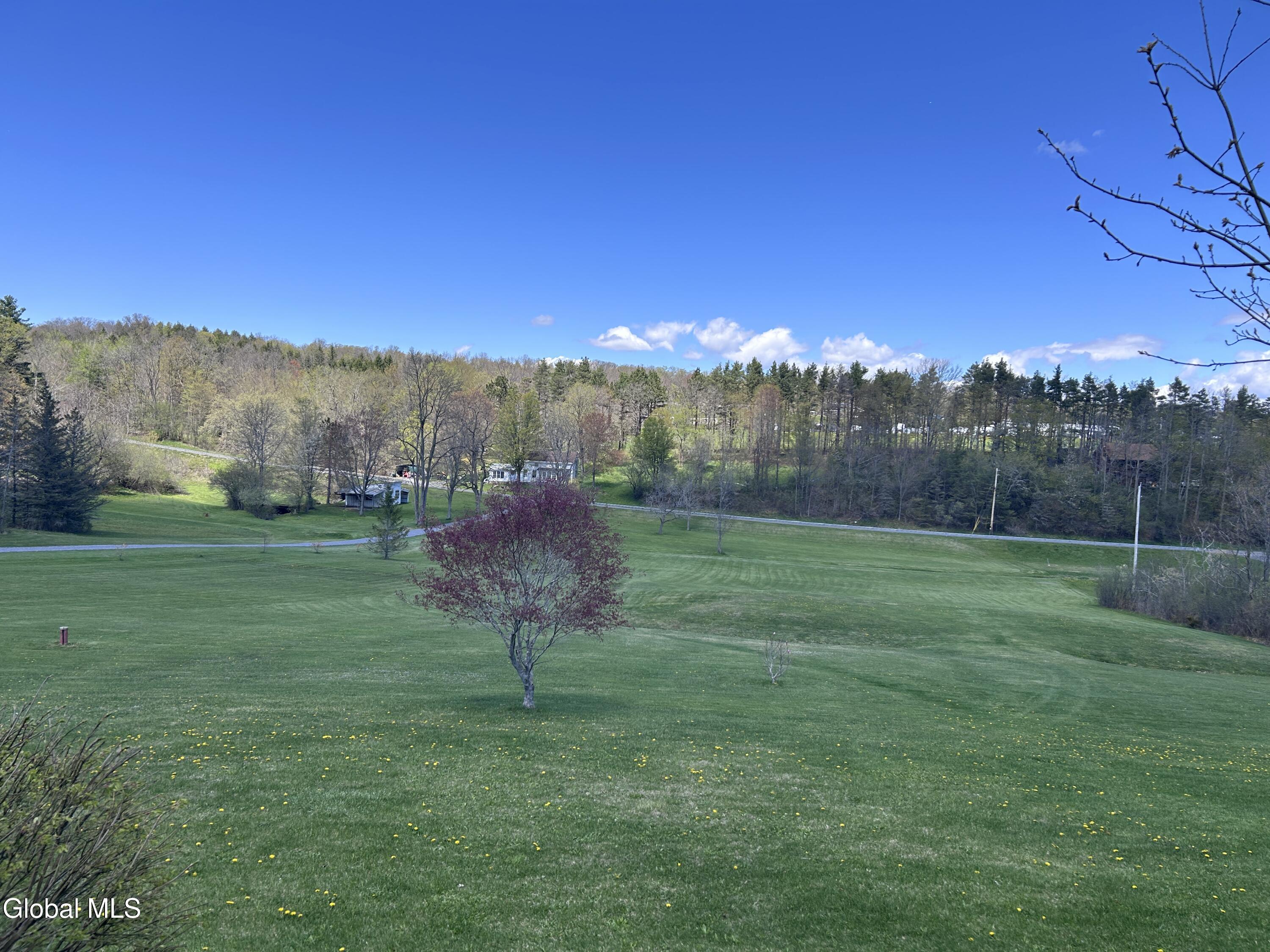 1859 Skyline Drive Duanesburg NY 12306