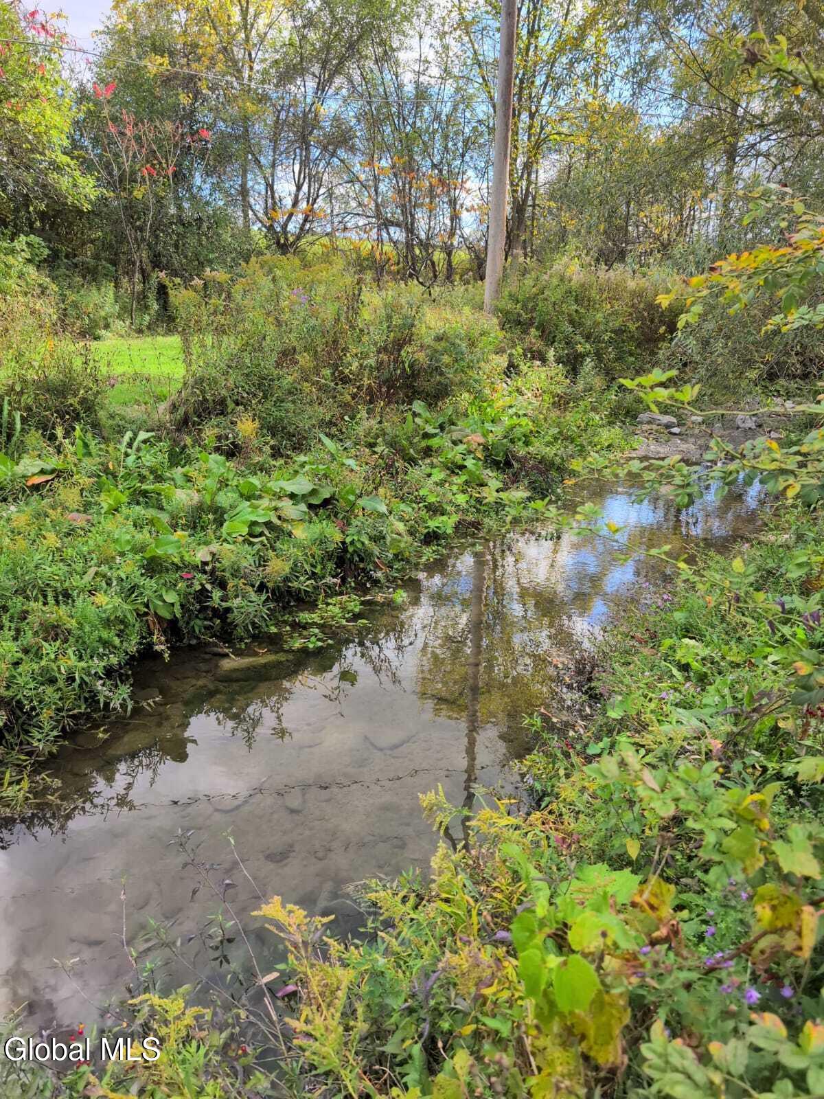 365 Rock Road Berne NY 12023