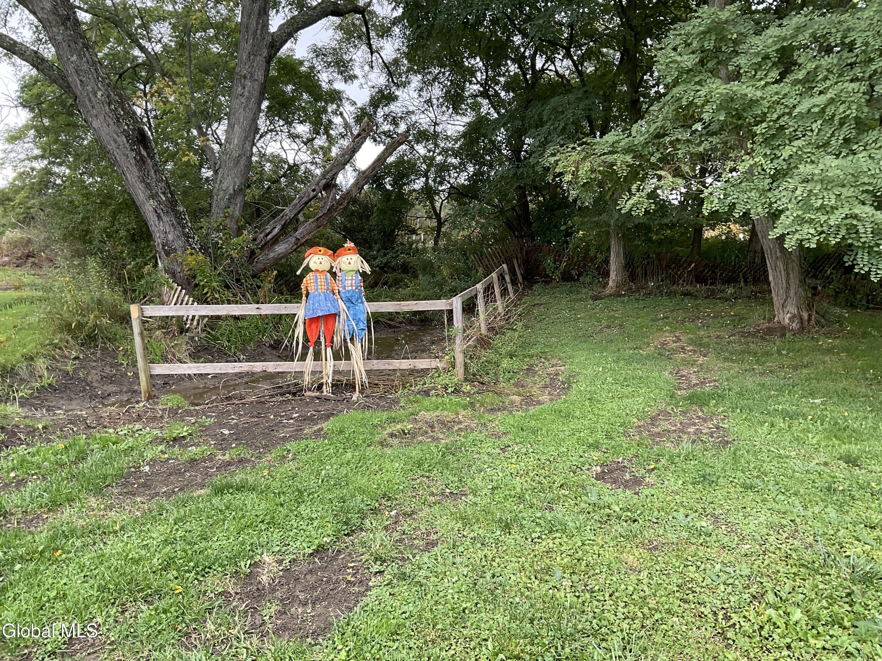 9774 Duanesburg Road Delanson NY 12053