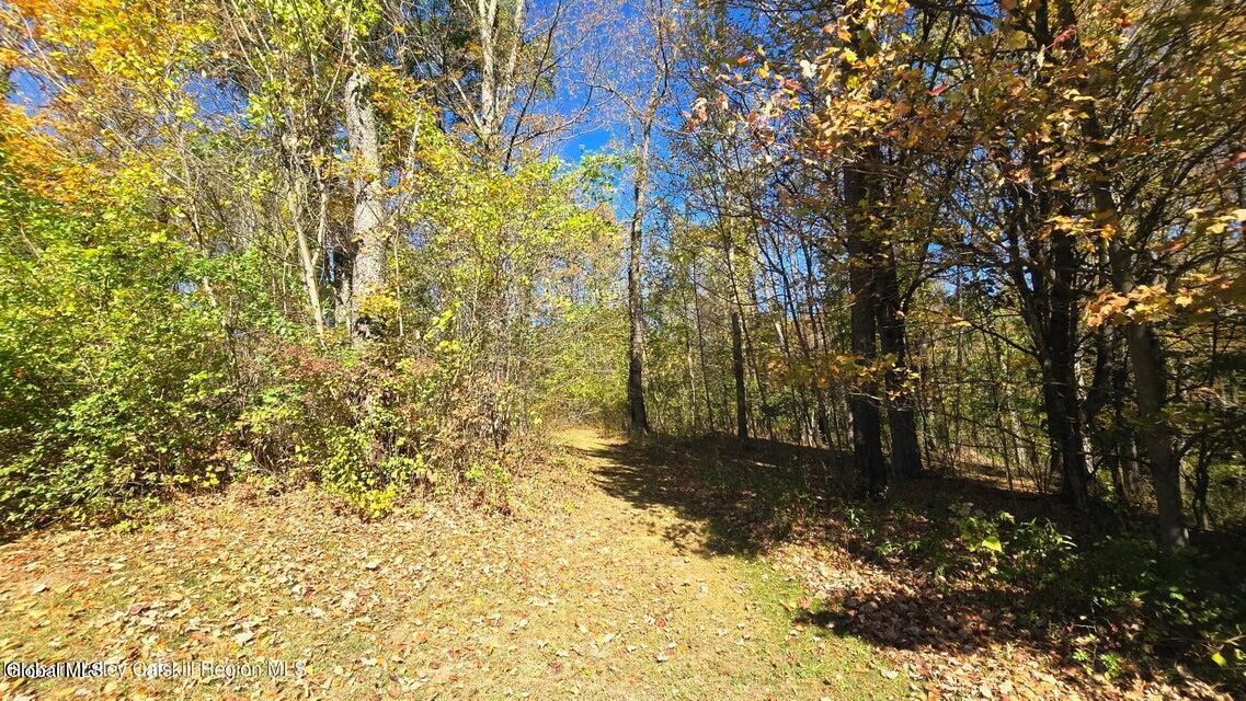 3124-3100 County Route 9 East Chatham NY 12029