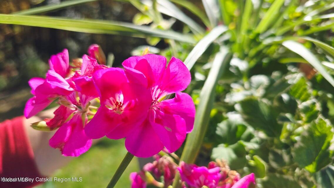 3124-3100 County Route 9 East Chatham NY 12029