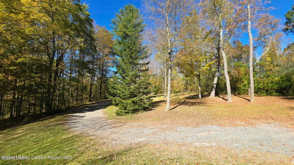 3124-3100 County Route 9 East Chatham NY 12029