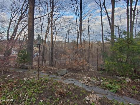 17 Ten Springs Drive Saratoga Springs NY 12866