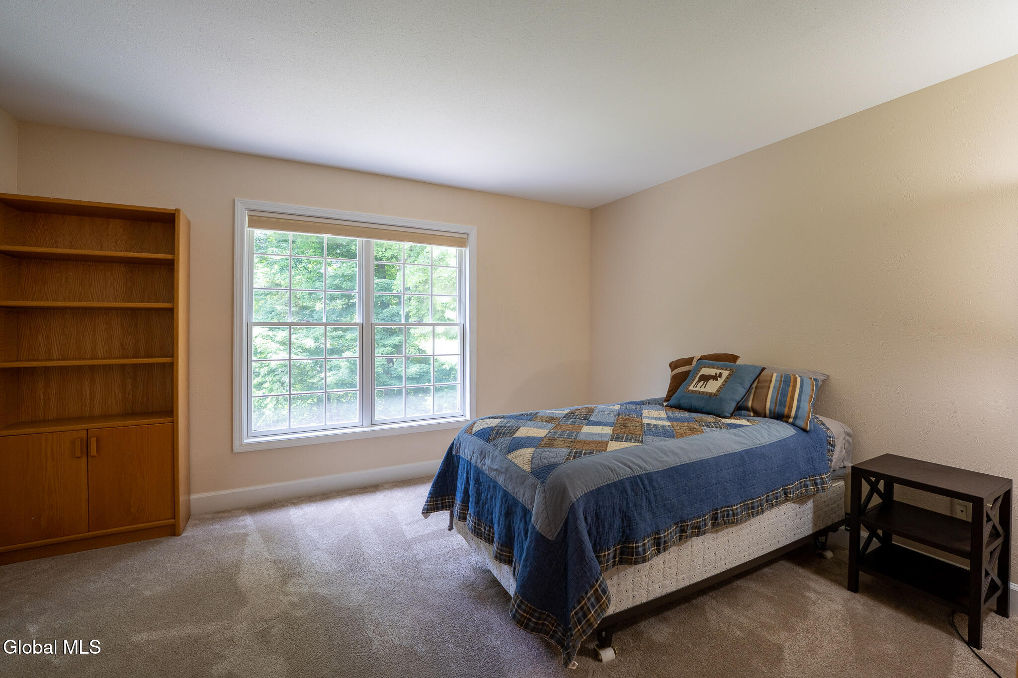 10 Whitestone Way Slingerlands NY 12159