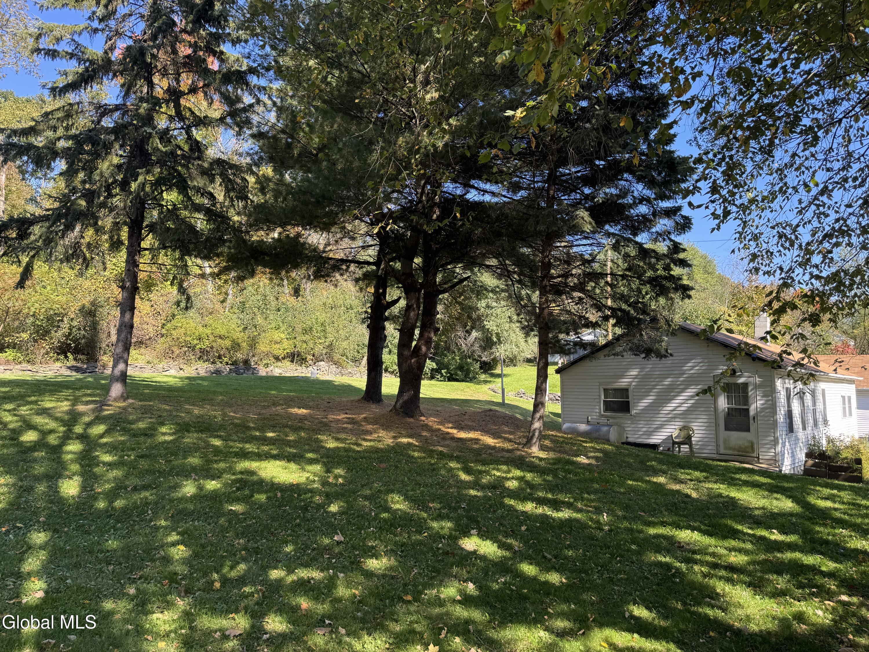 2210 County Route 26 Climax NY 12042
