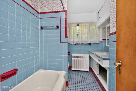 15 Lyons Avenue Delmar NY 12054