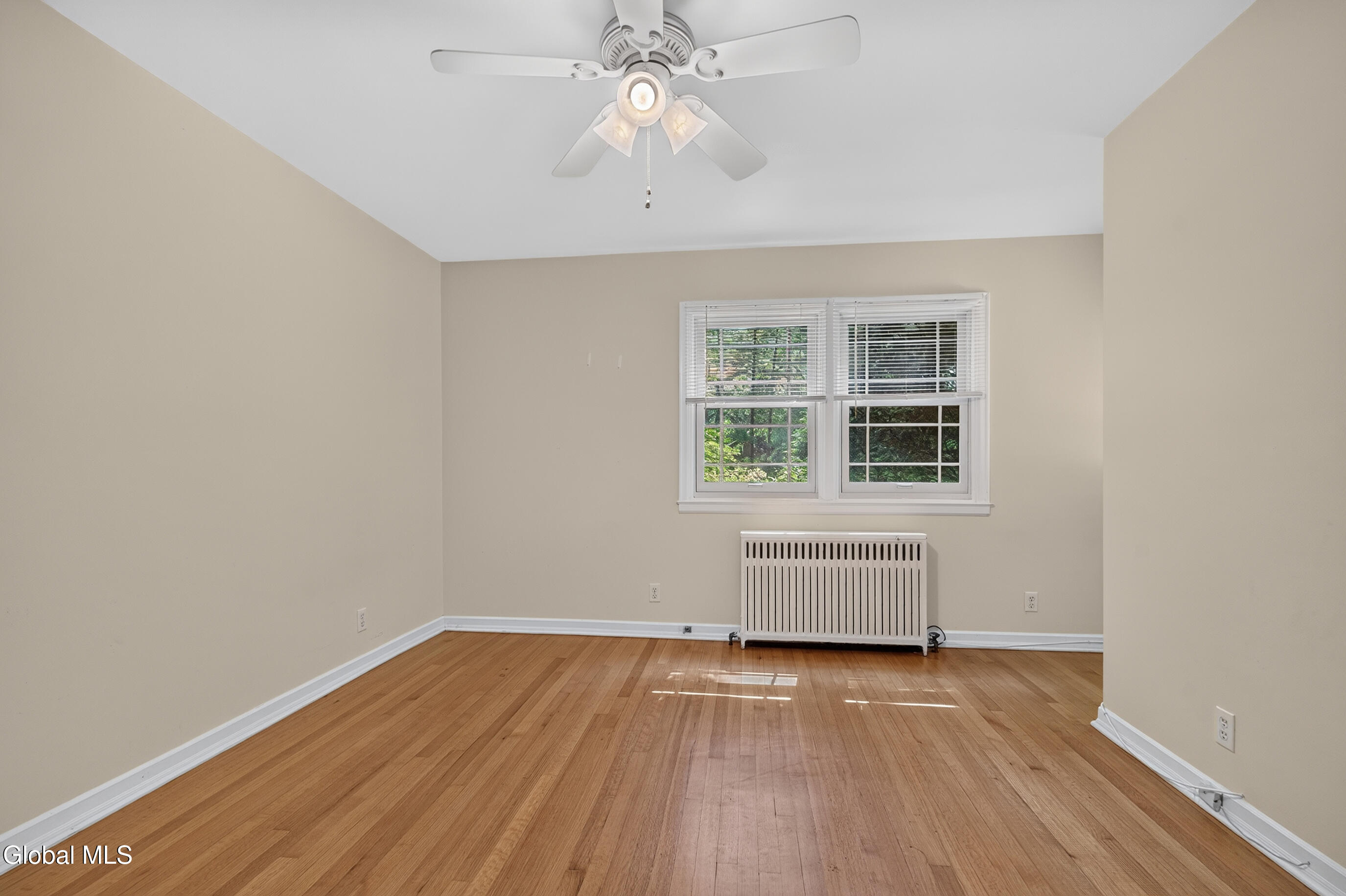 15 Lyons Avenue Delmar NY 12054