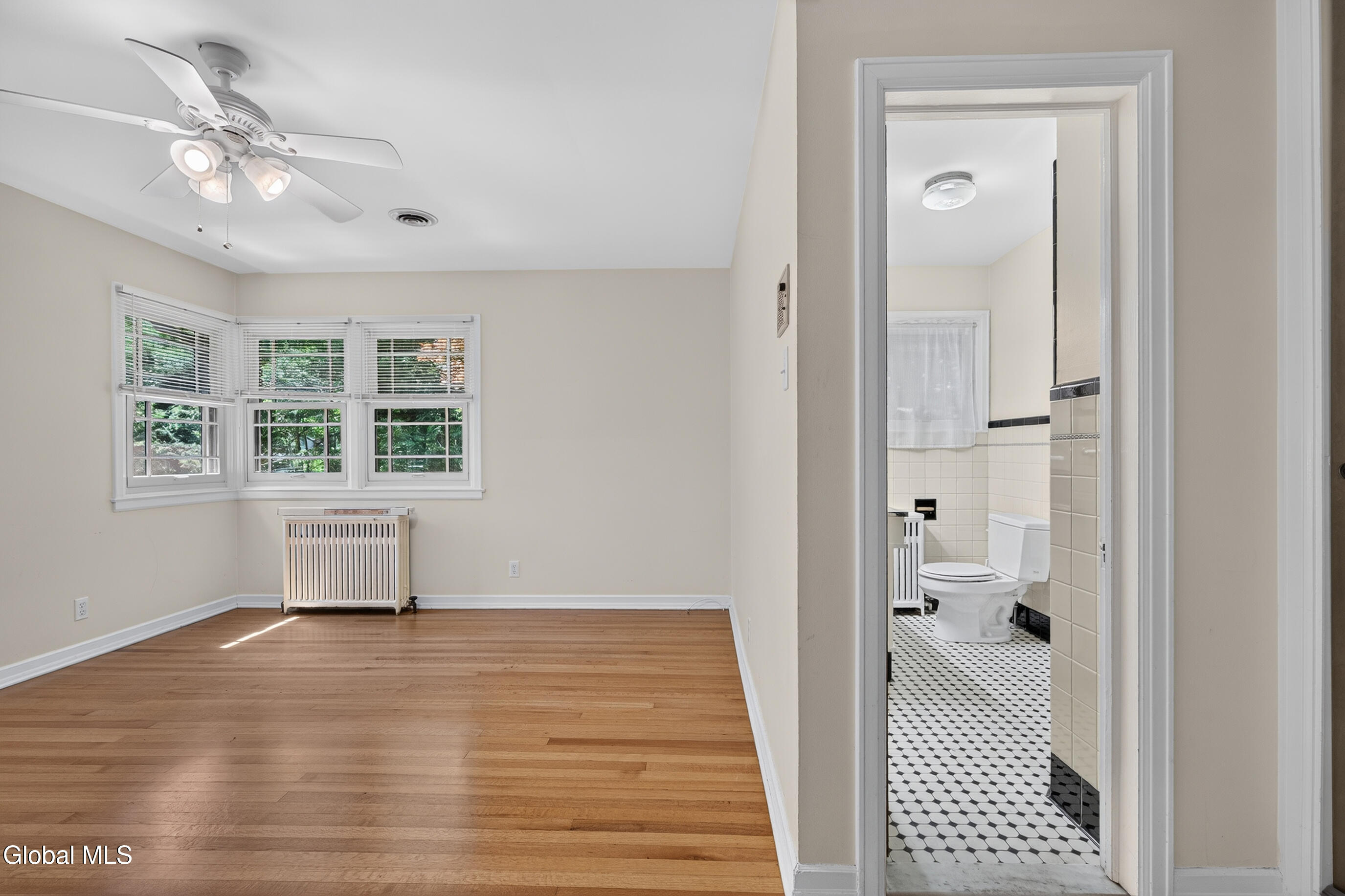 15 Lyons Avenue Delmar NY 12054
