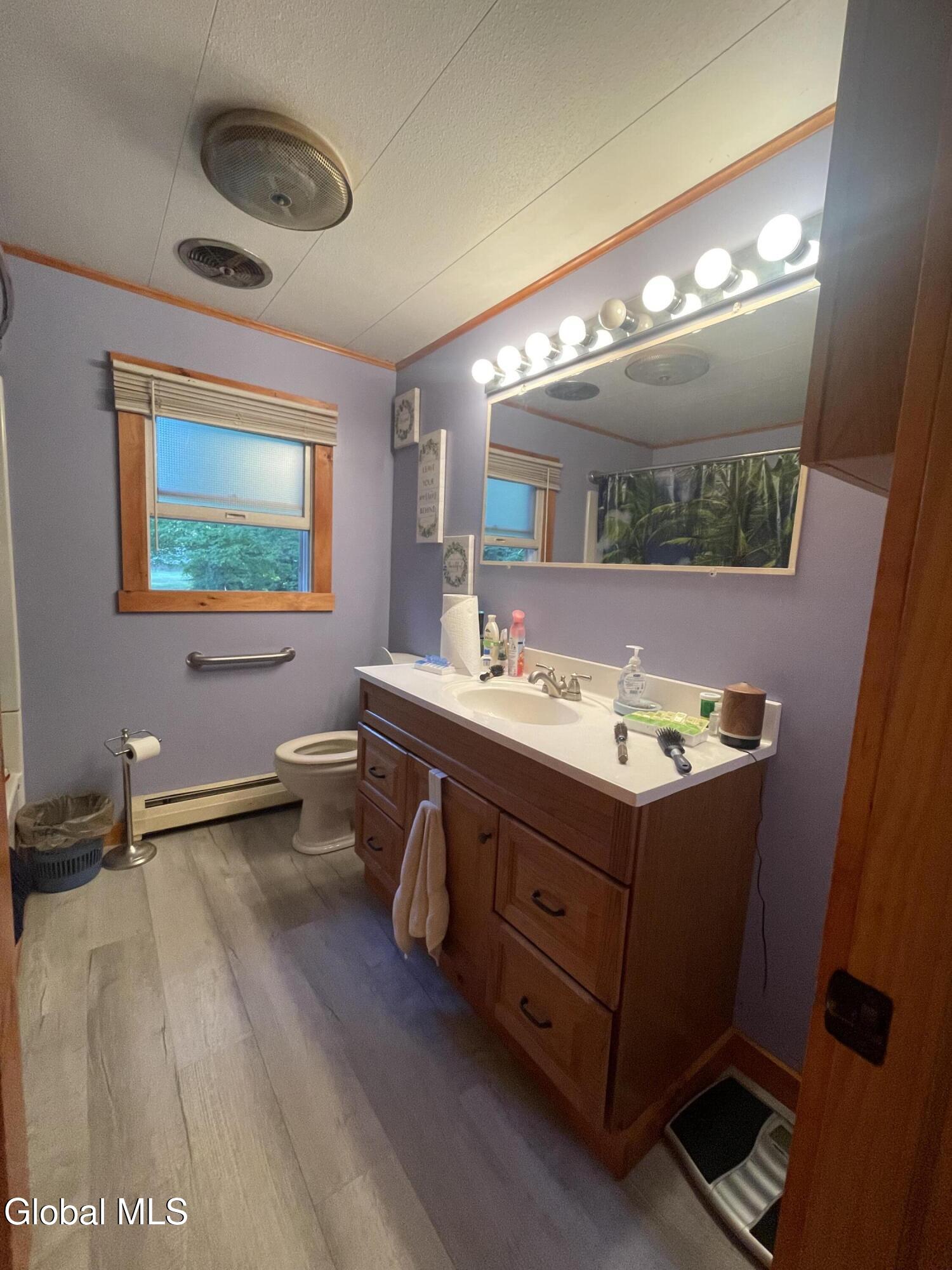 176 Alder Meadow Road Schroon Lake NY 12870