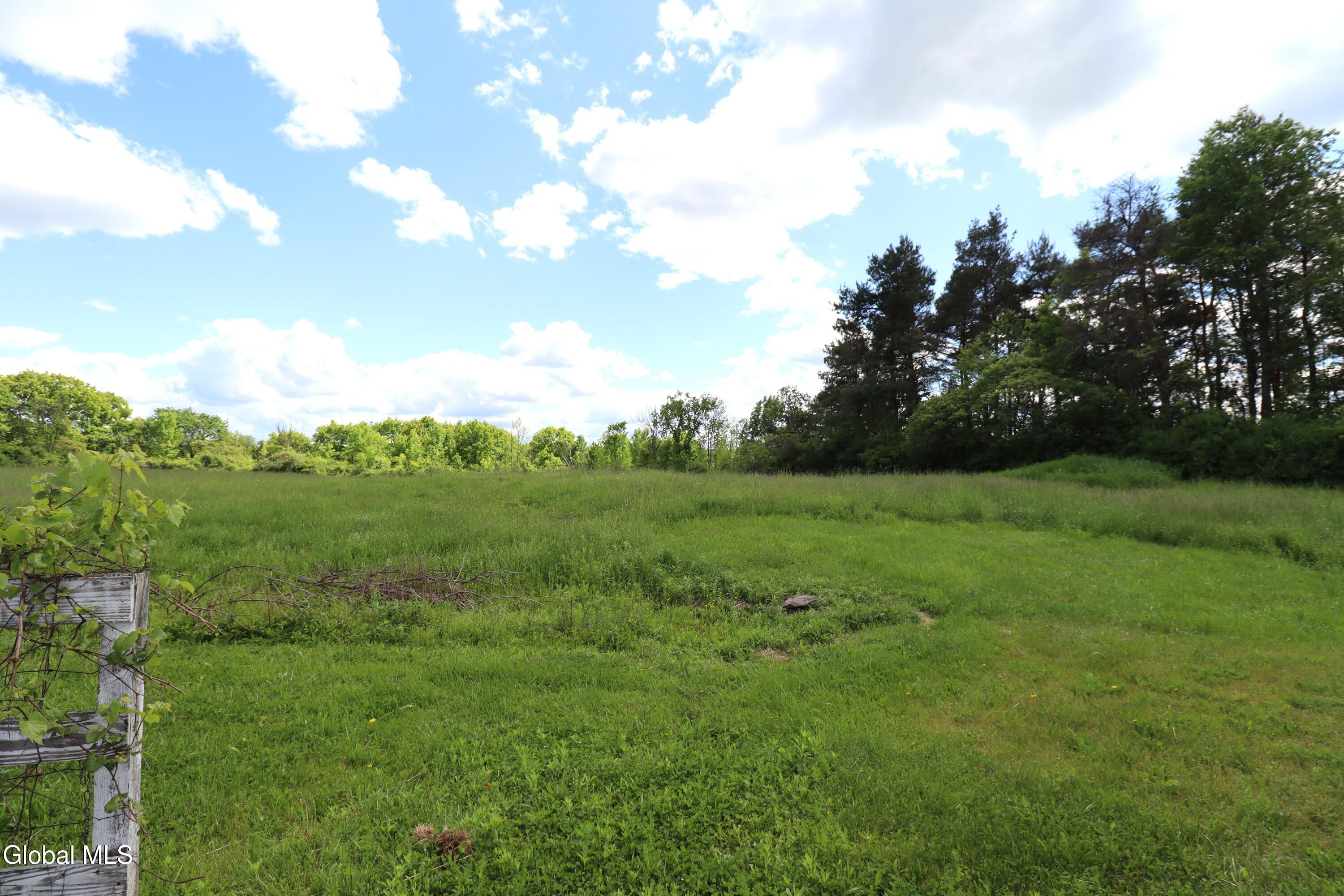 134 Albert Road Delanson NY 12053