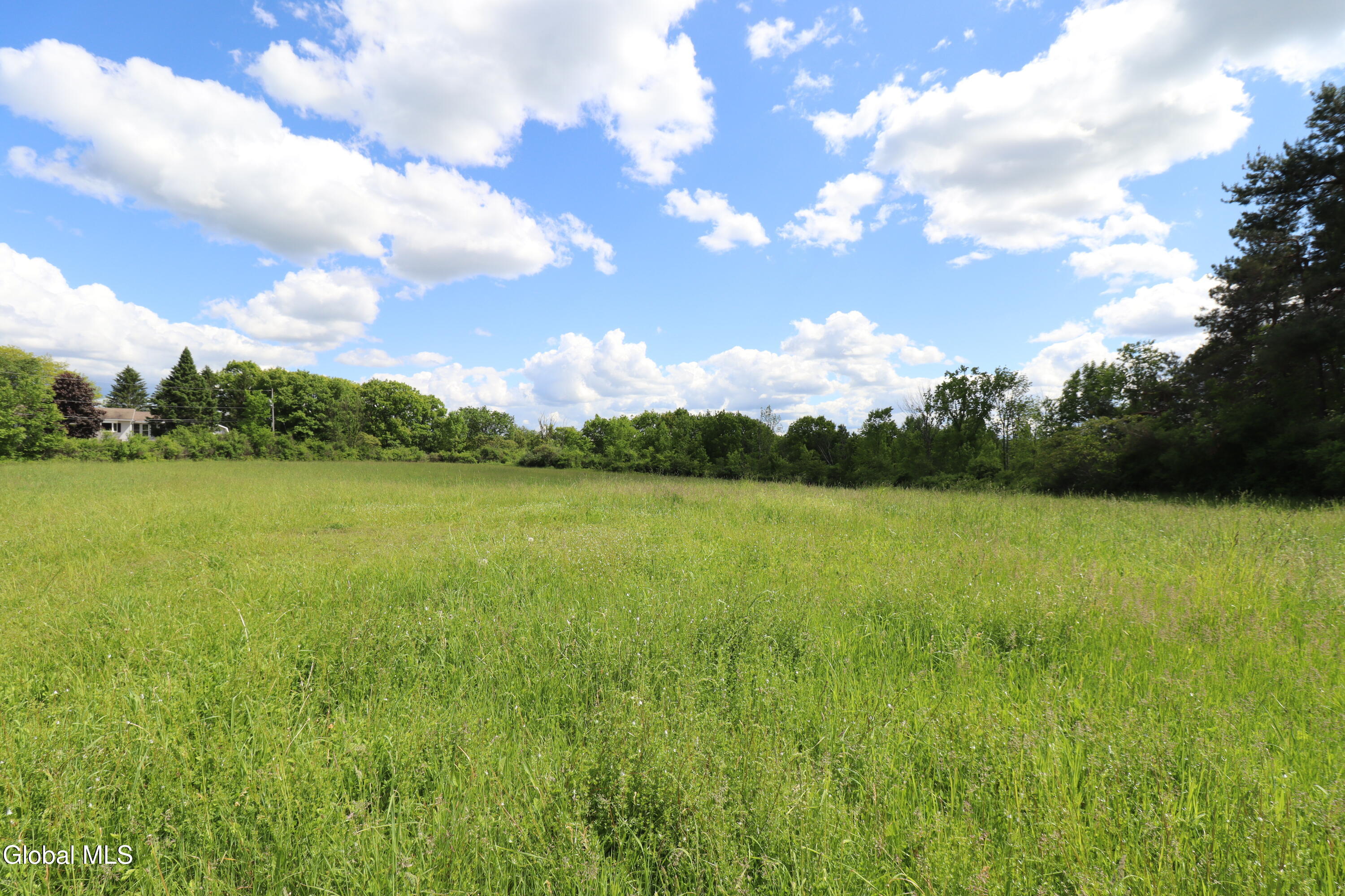 134 Albert Road Delanson NY 12053