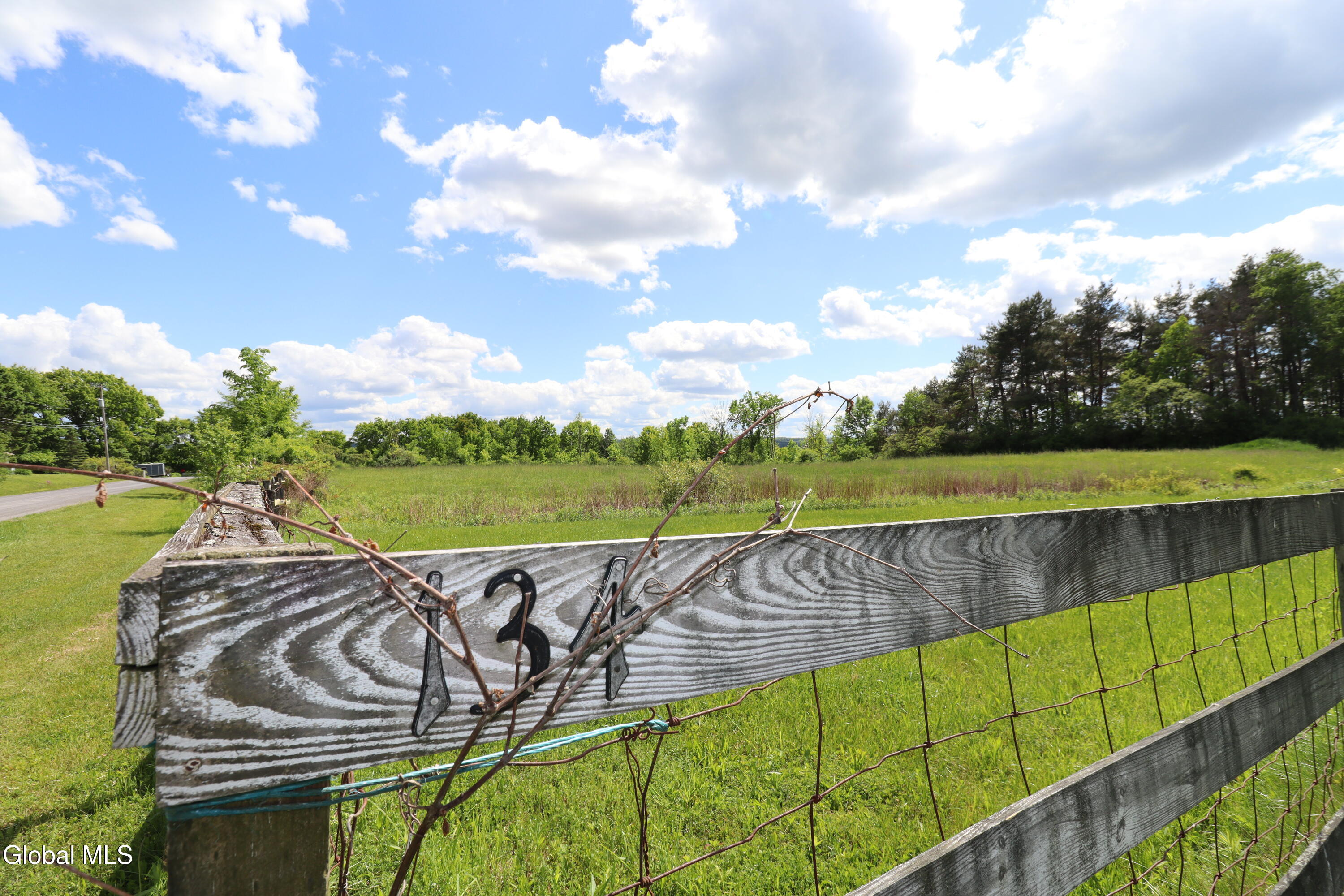 134 Albert Road Delanson NY 12053