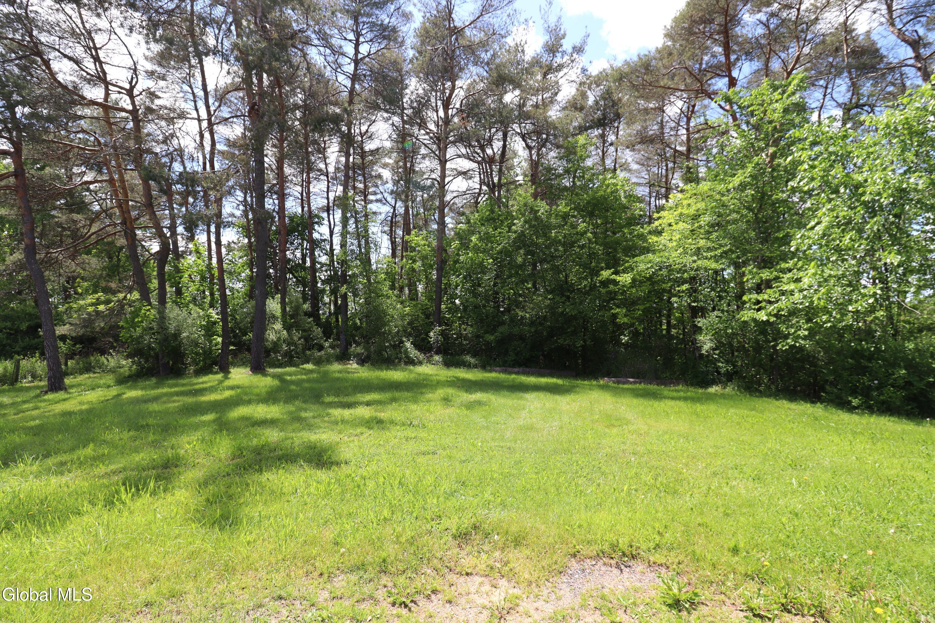 134 Albert Road Delanson NY 12053
