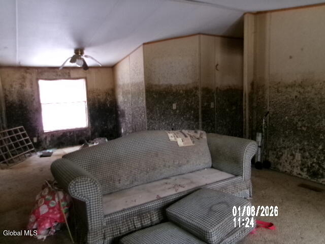 173 Beech Street Mayfield NY 12117