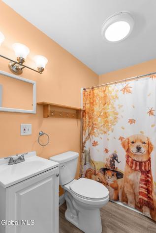 11 Park Drive Greenwich NY 12834