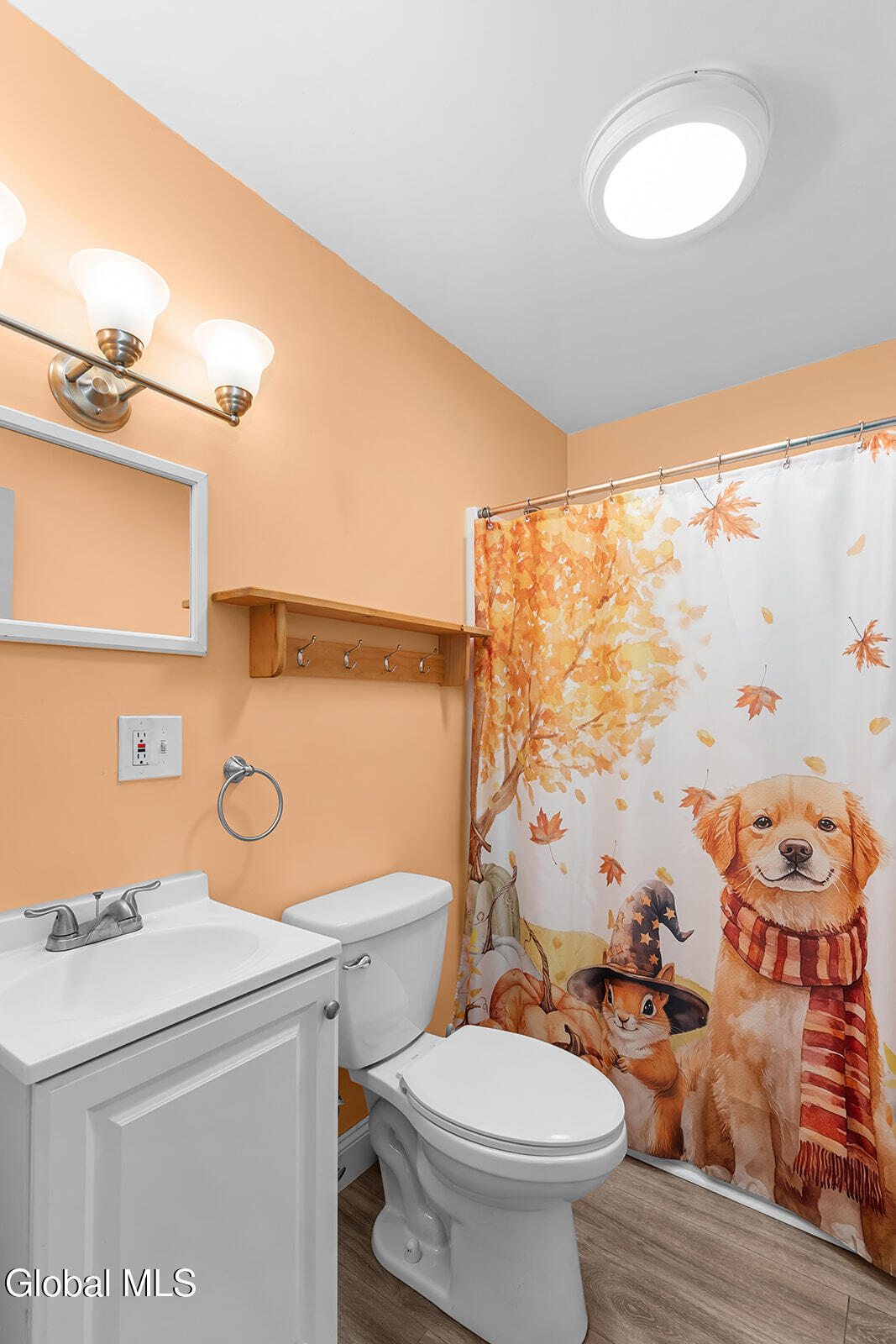 11 Park Drive Greenwich NY 12834