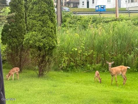 2 Hampton Avenue Rensselaer NY 12144