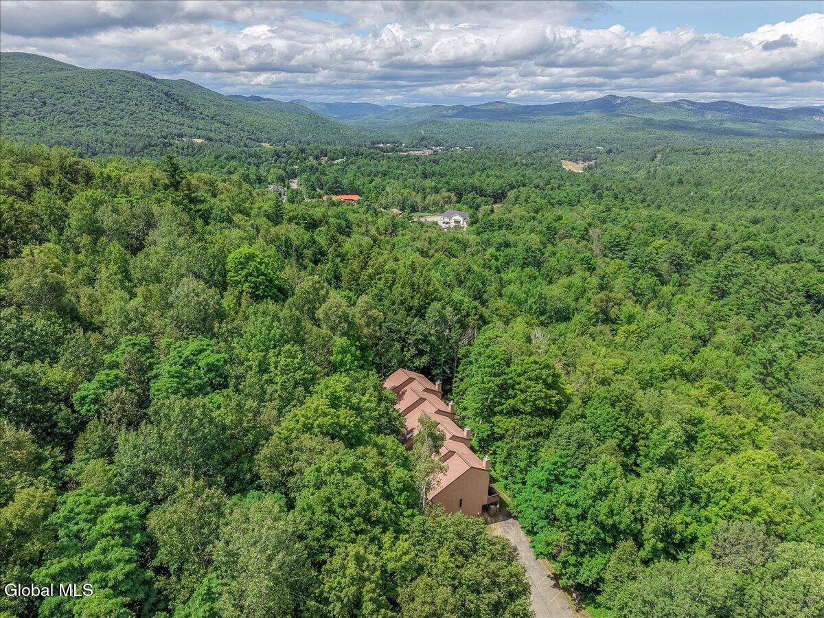 47 Gore Village Lane North Creek NY 12853