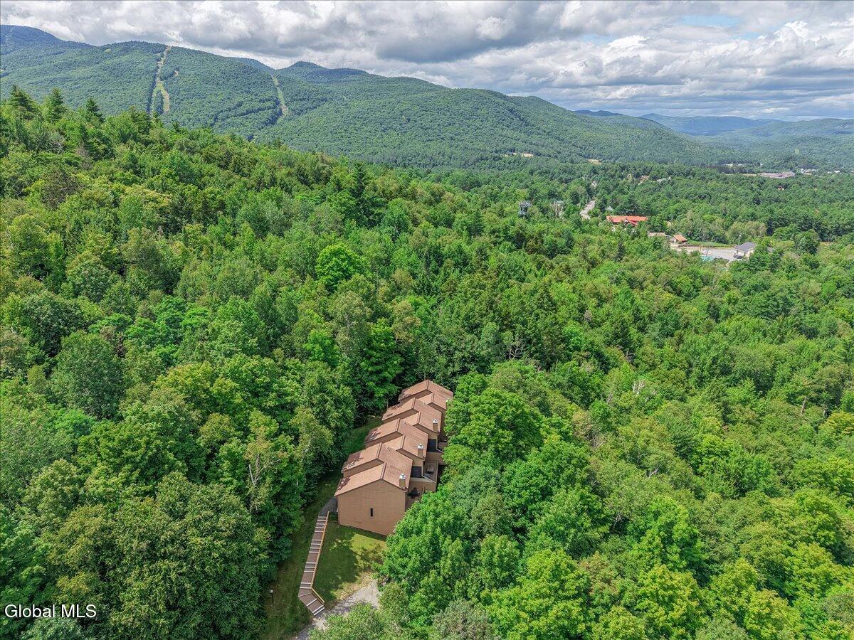 47 Gore Village Lane North Creek NY 12853