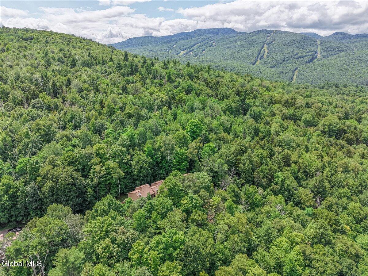 47 Gore Village Lane North Creek NY 12853